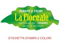Etichette adesive grandi per fioristi, fiorai e vivaisti (mm 72x30)  (cod.85G)